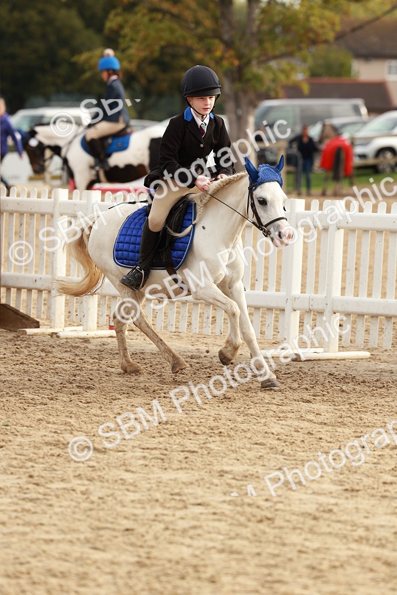 SBM_55742 - J11 - Junior Pony 50cm Championship