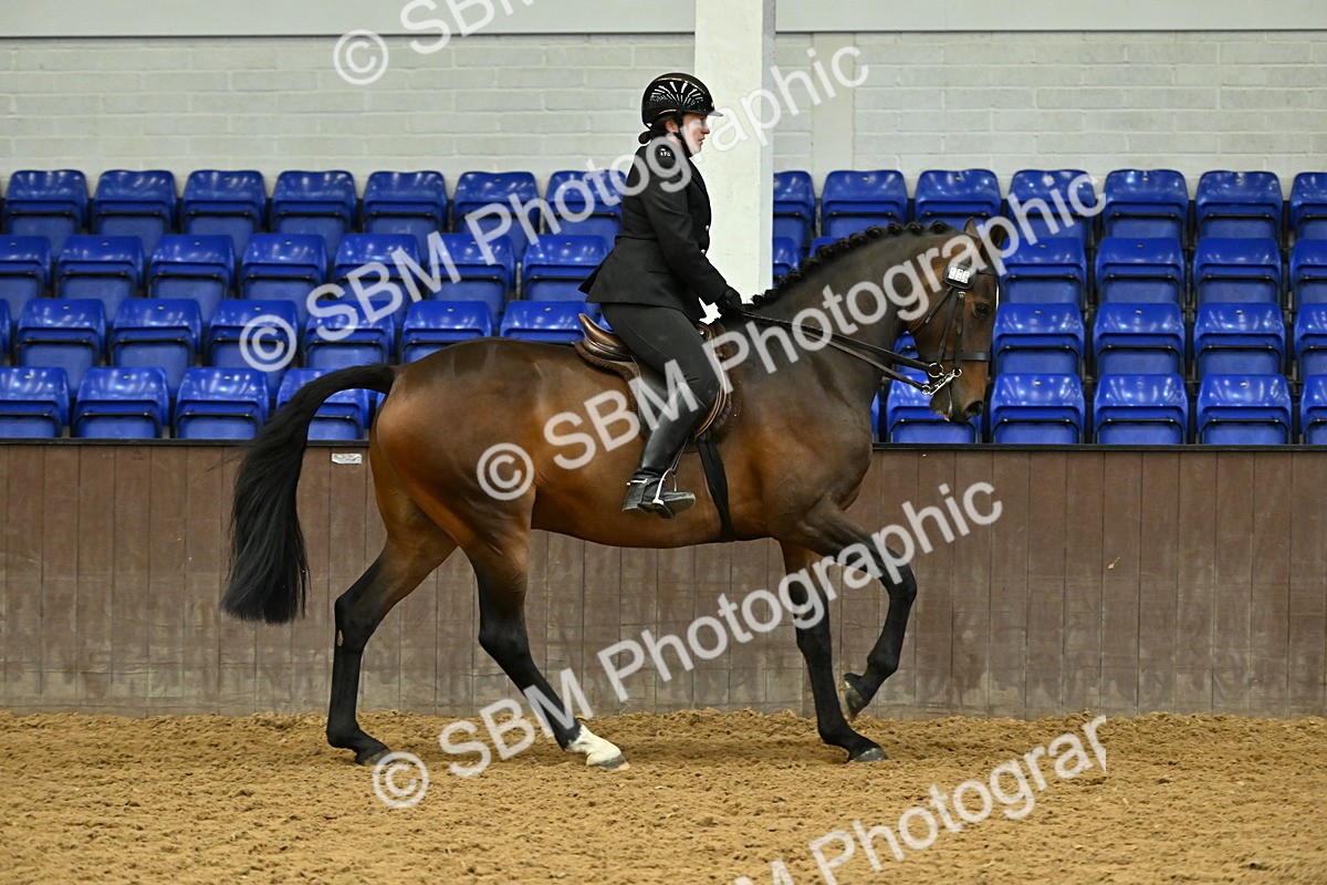 SBM_002057 - Class 23 - BSHA Ridden Show Hunter
