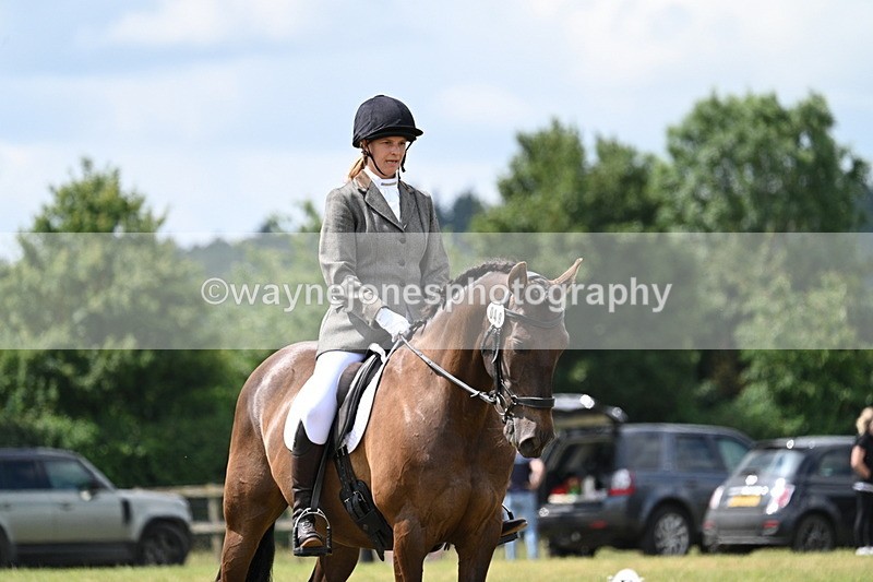 WJ7_4887 - Time 11:22 to 11:51