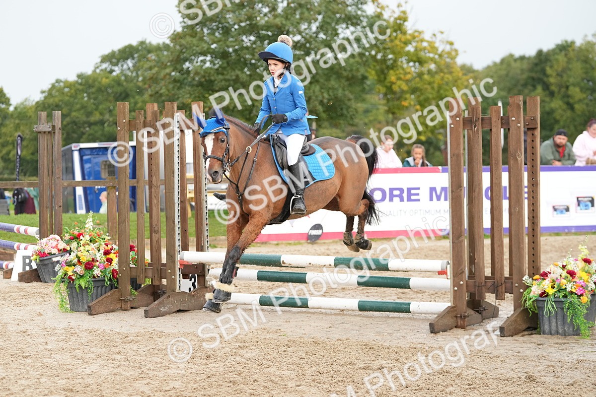 SBM_32410 - J5 - Junior Pony 50cm Championship