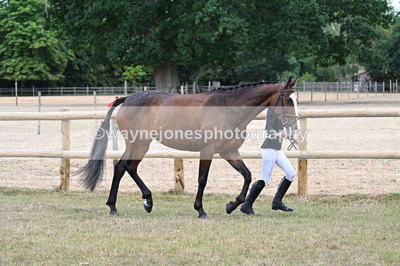 WJ7_8798 - Class 4a Prettiest Mare 14.2hh and over
