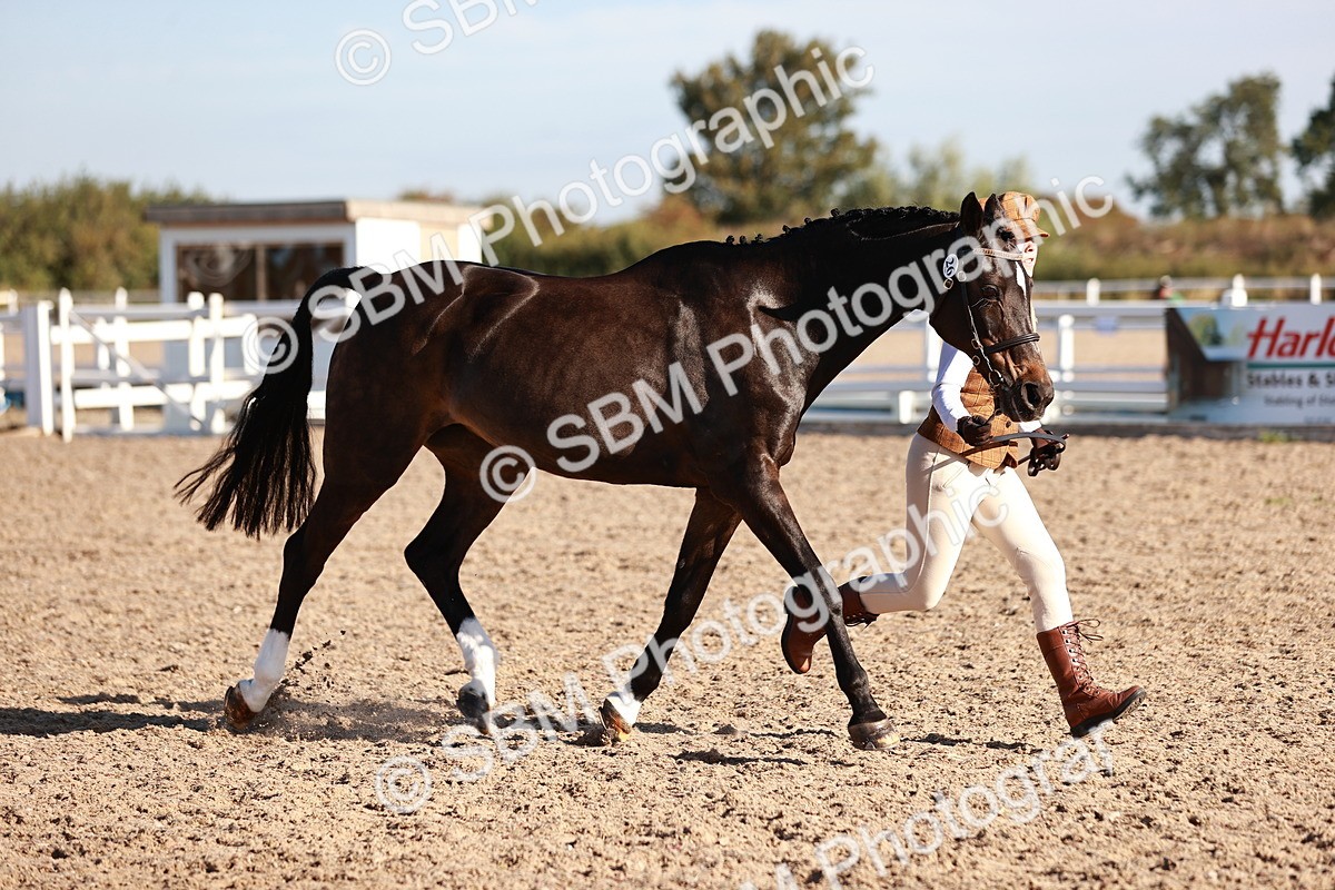 SBM_11410 - Class 402 - IH  Veteran pony