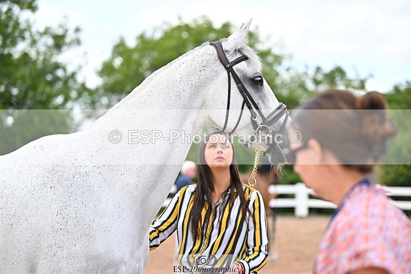 240718A-105325-01975 - Trot Up 2pm to 3pm - This folder is not in time order