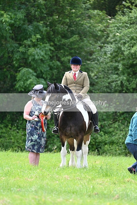 WJ7_2680 - Class 12A Coloured Class