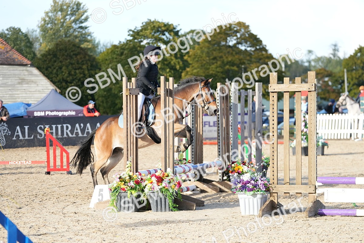 SBM_29110 - J43 - Horse & Hound Open 50cm