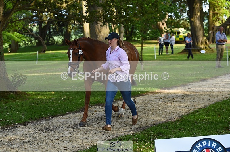 230525-173144-01501 - 323-CHESTNUT_BOBBY-Molly_Fletcher-WEDTrotUp+DR