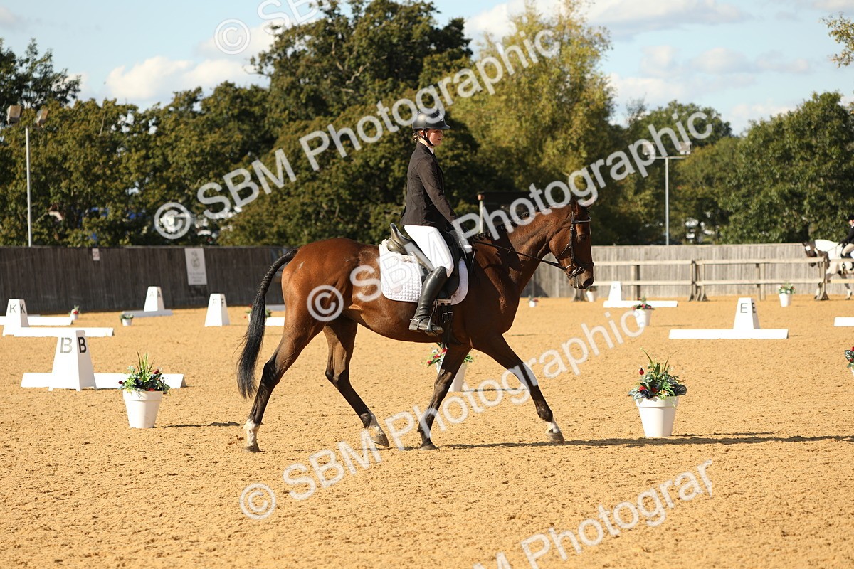 SBM_26800 - D17 - Grand Tour Championship - Novice 27
