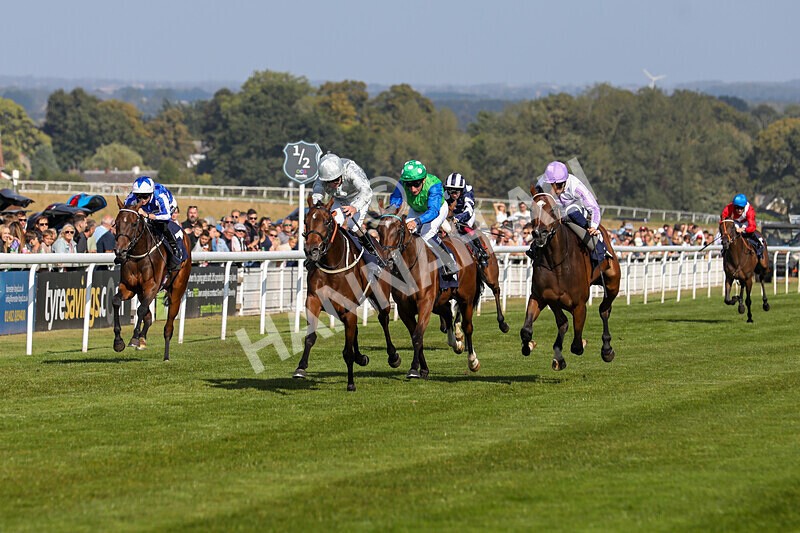 310824-Race 5-Bassadanza-1800 - Race 5