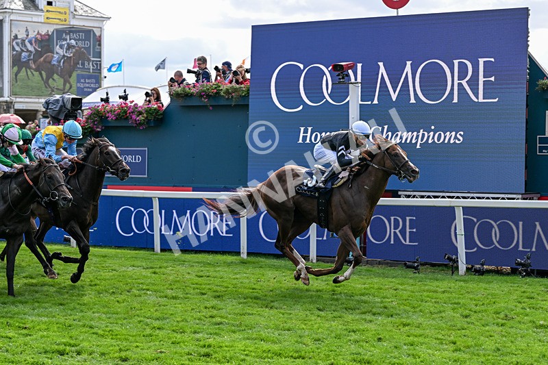 210826-Race 4-Bacio-6219 - Race 4 15.35pm Coolmore City Of Troy Nunthorpe Stakes