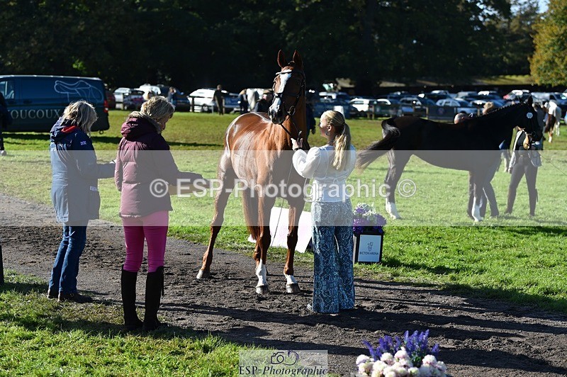 231022-111440-23832 - 564-JANA.DE.CAVAIGNAC-Rosie.Kendall-TrotUp+SJ