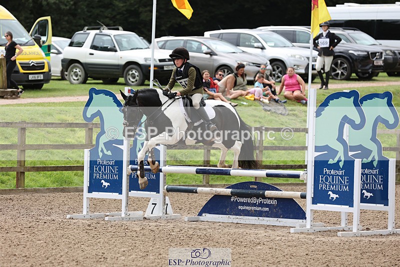 240804-133318-14307 - 555-Jack_Wish-WESTERLAKE_BUTTONWEED