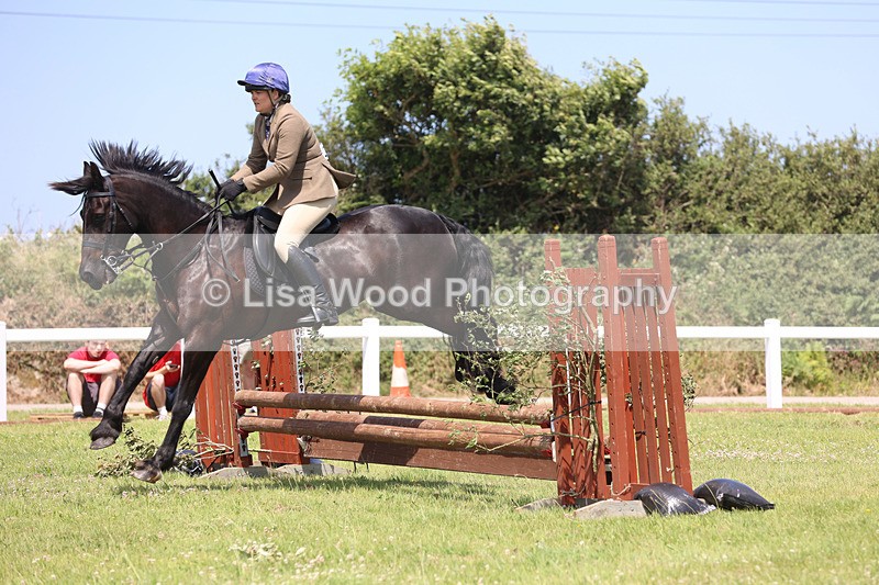 JPP_2557 - Class 21: Working Hunter 60cm