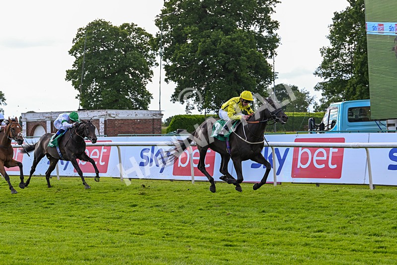 160624-Race 4-Align The Stars-8822 - Race 4