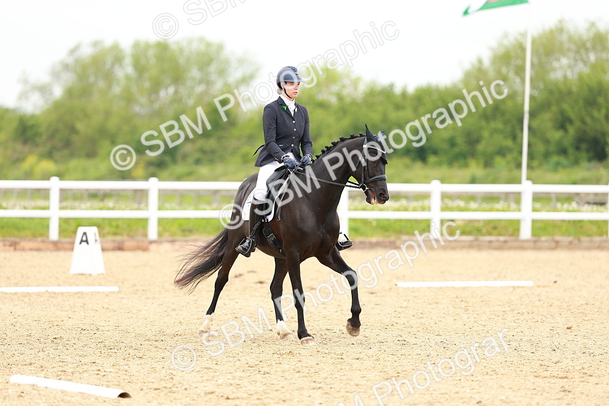 SBM_006500