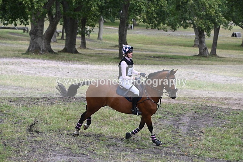 WJ6_1266 - XC Time 13:48 to 13:55