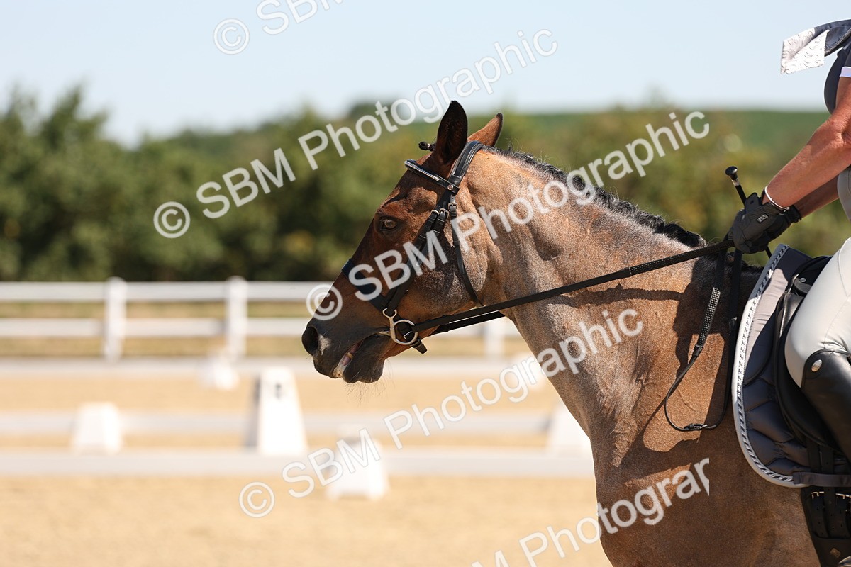 SBM_001166 - Intro 2