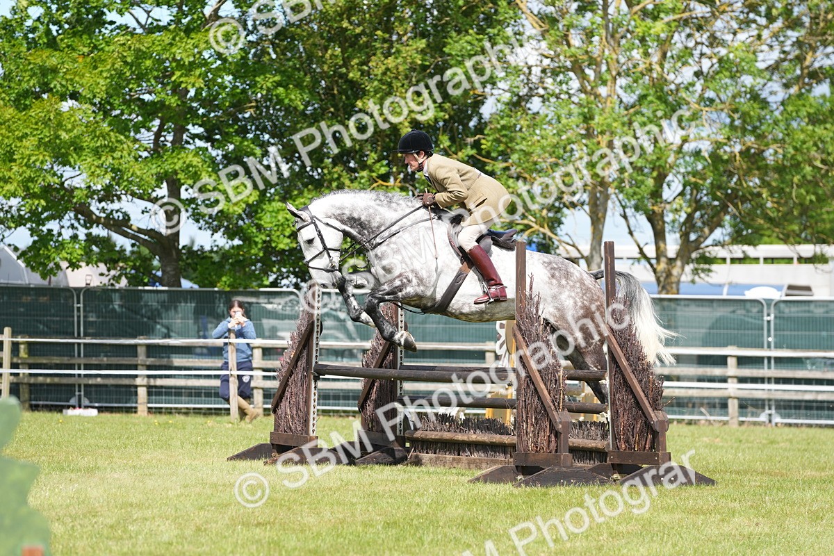 SBM_14840 - Class 100-102 - RIHS Working Hunter
