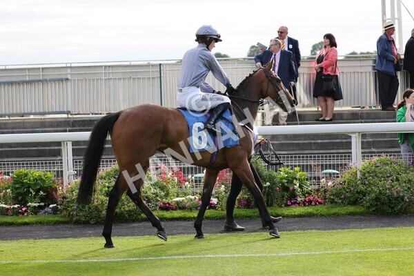 yr23072021r1-11 - Race 1 6.00pm John Wright Electrical Silk Series Lady Riders Handicap