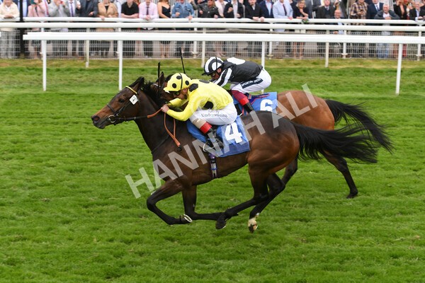 yr13052022r2-29 - Race 2 2.25pm Oaks Farm Stables Fillies' Stakes (registered as the Michael Seely Memorial Stakes)