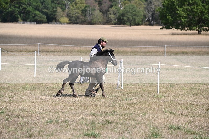 WJ6_5138 - Class 17 Mountain & Moorland