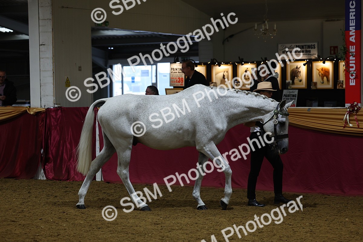 SBM_20756 - Class 902 - Supreme Final IH Veteran