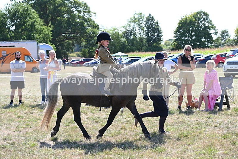 WJ6_7795 - Class 36 Lead Rein