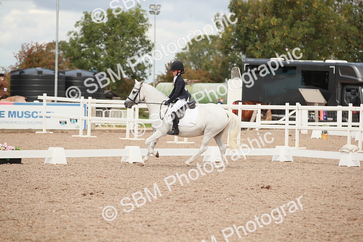 SBM_03981 - Class 31 - Prelim 1