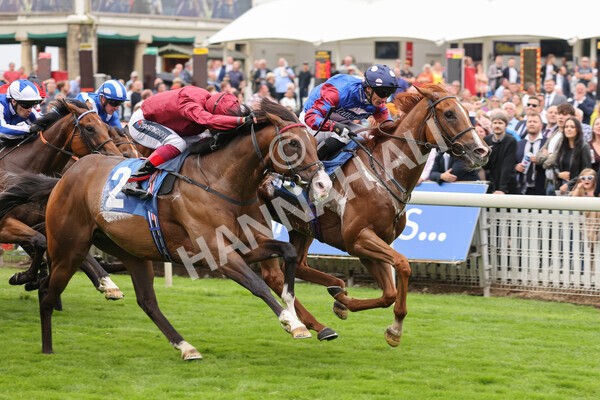 yr19082021r3-34 - Race 3 3.00pm Clipper Logistics Stakes