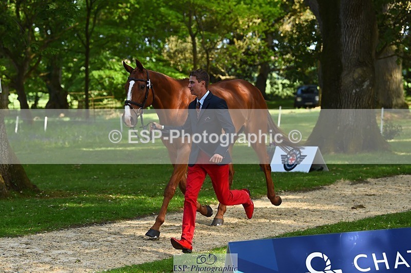 230524-170838-01306 - 156-JUST_PERFECT-Gaspard_Maksud-WEDTrotUp+DR