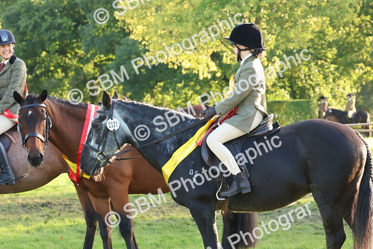 SBM_53190 - Veteran Supreme Championship