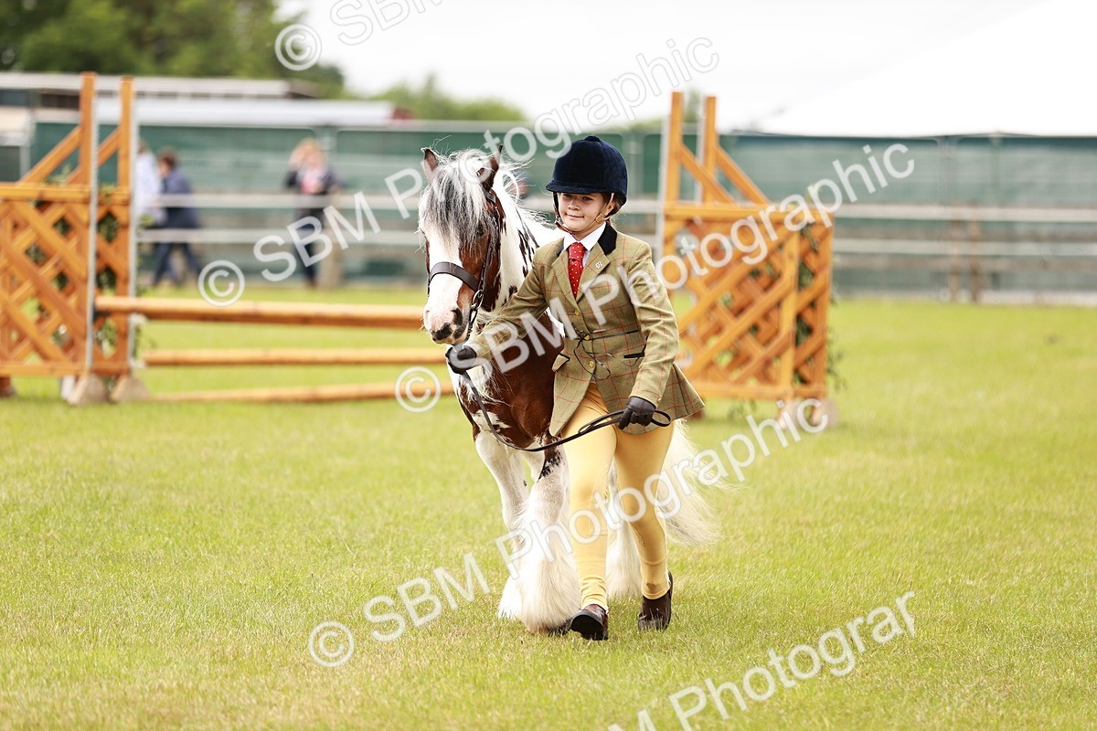 SBM_06064 - Class 39-41 TGCA In Hand and Ridden