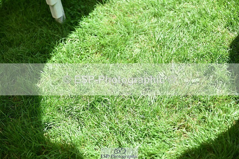 240728-130740-04373 - 70 & 80 presentations