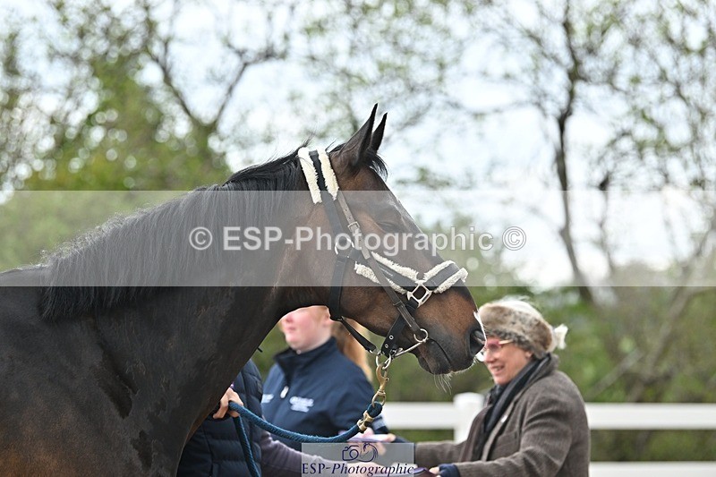 250423-152010-01551 - 3pm to 4pm