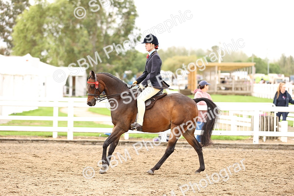 SBM_01371 - Class 54 - Riding Club Horse Pony