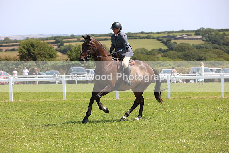 JPP_3012 - Class 22: Working Hunter 70cm