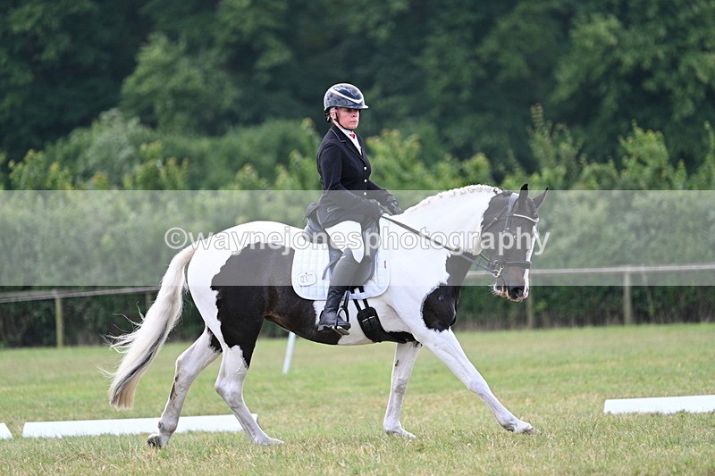 WJ7_5253 - Time 11:22 to 11:51