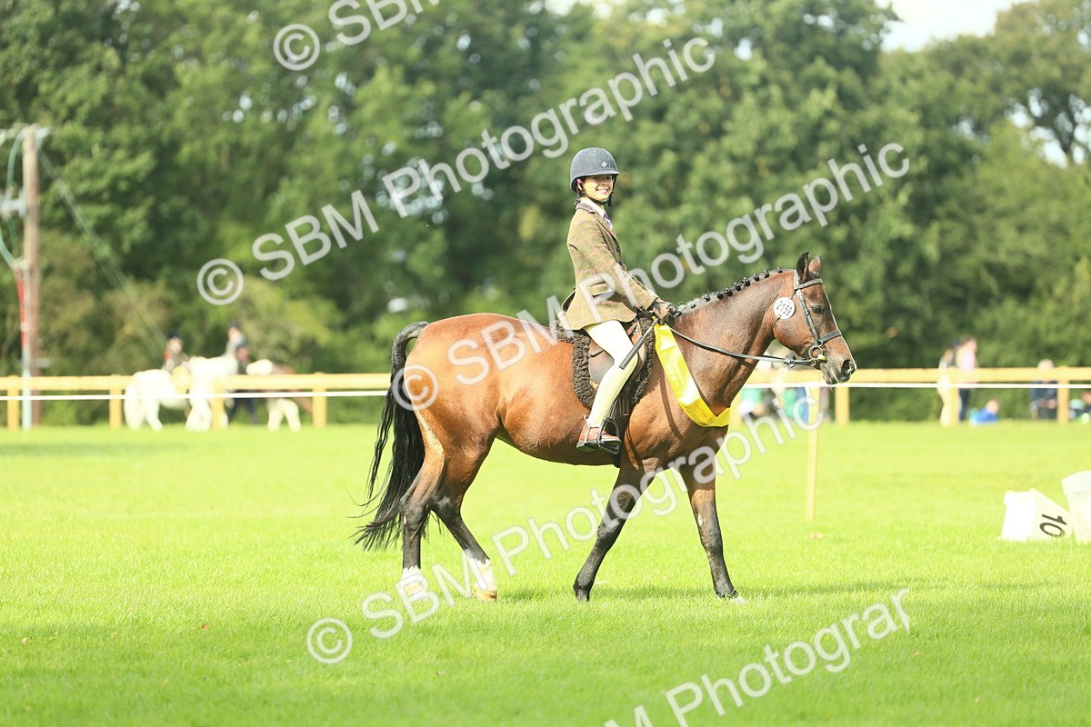 SBM_44874 - Working Hunter Pony Supreme Championship