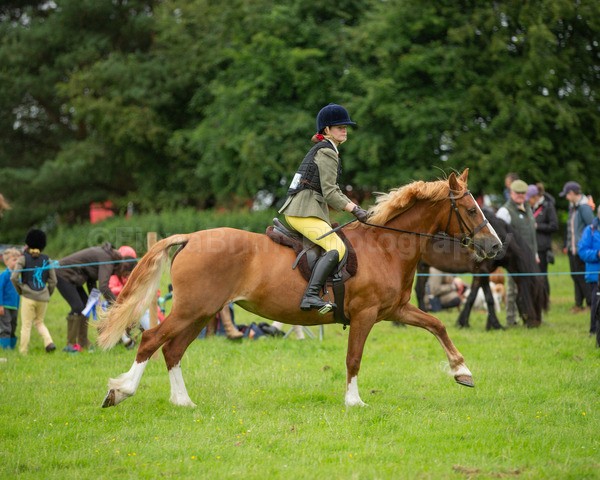 Dunblane show-467 - Dunblane and Doune Show Ring 1