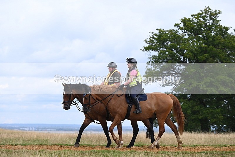 DSC_9246 - Time at Statue 14:33 to 15:10