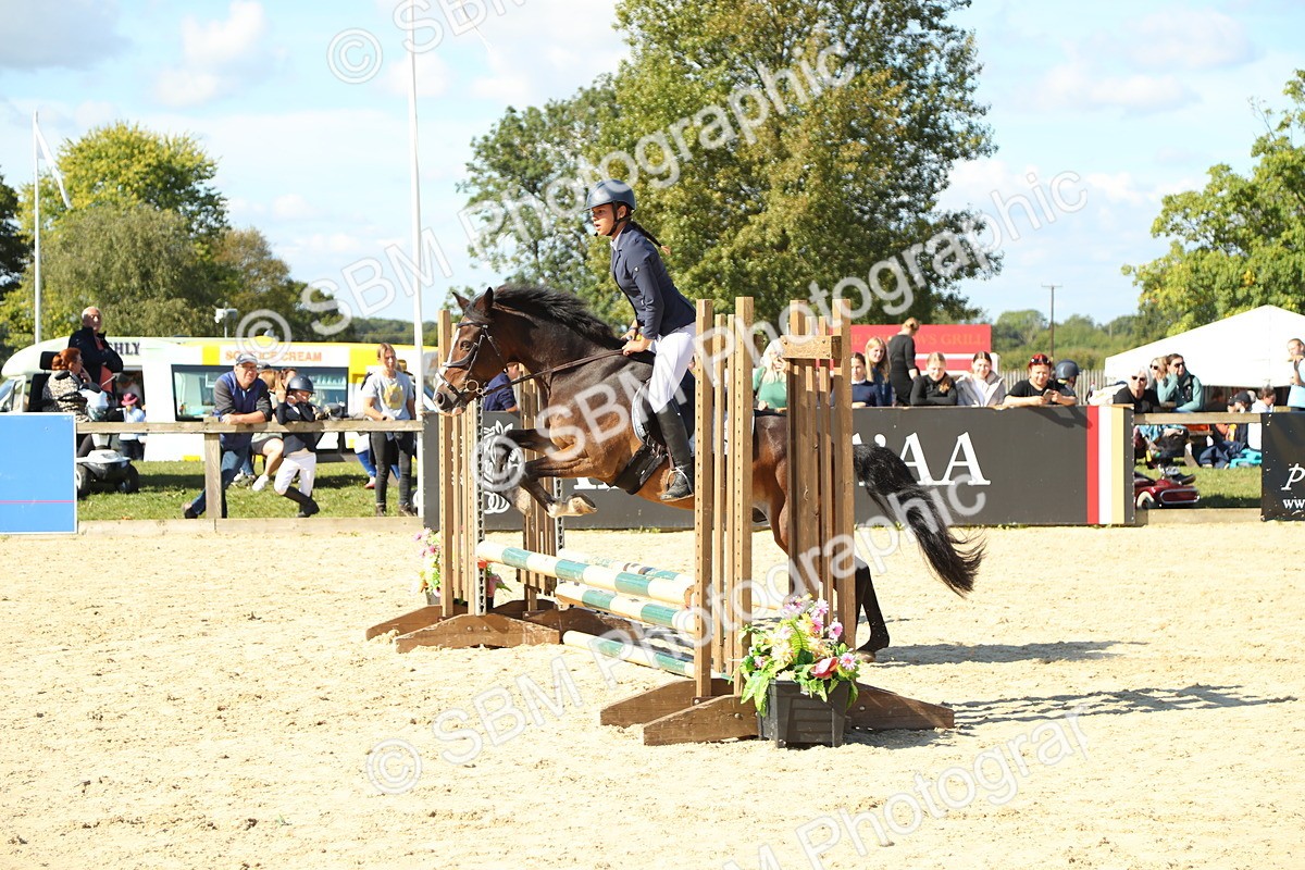 SBM_39360 - J6 - Junior Pony 55cm Championships
