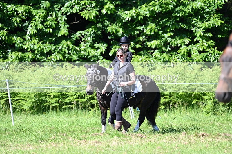 WJ7_0452 - Class 8 First Rally Pony