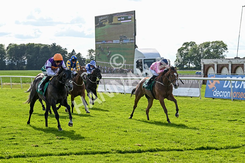 060625-Race 8-Arabian Cobra-5701 - Race 8