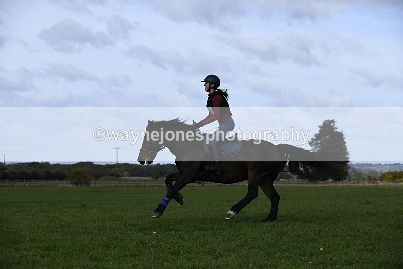 _DSC5976 - Time 11:23 to 12:05