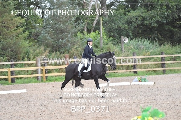 BPP_0371 - ELEM 6 & 4