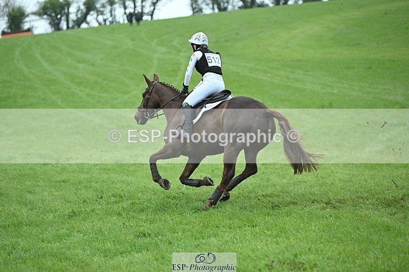 250419-114010-08900 - 512-Lamorna.May-THEODORA