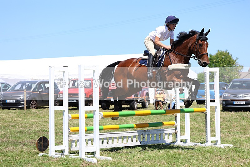 3E7A5474 - Class 9: Senior British Novice/90cm open