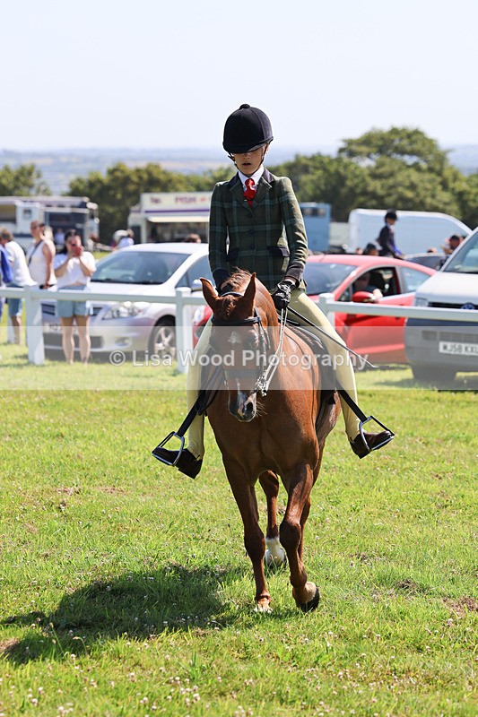 IMG_2012 - Class 34: Show Hunter Pony 153cm and under