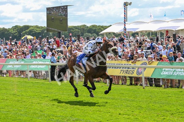 140625-Race 3-Al Qareem-2490 - Race 3 3.00pm Sky Bet Race To The Ebor Grand Cup Stakes