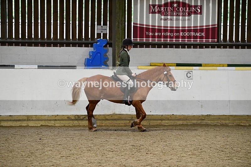 WJ5_8508 - Class 14 Novice Ridden/Rider