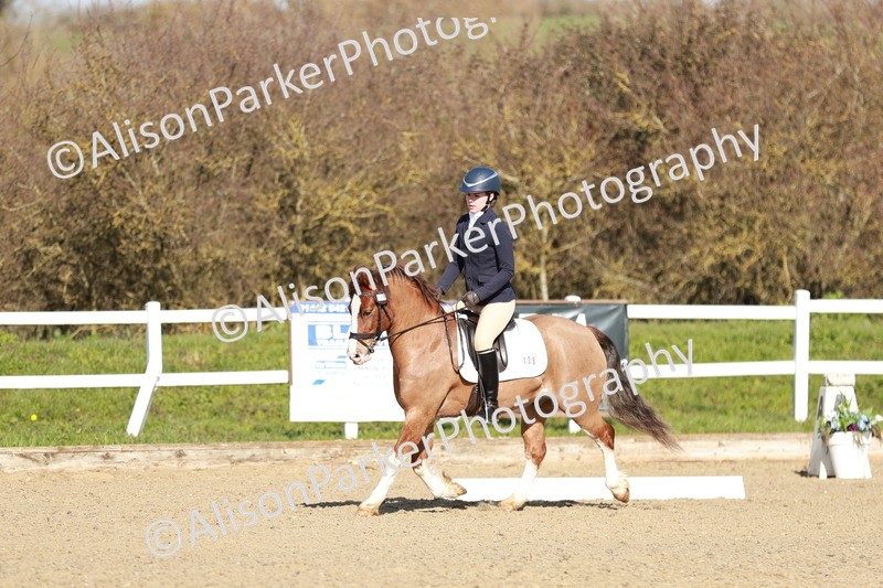 20260314-4286 - DR4 - Prelim 2